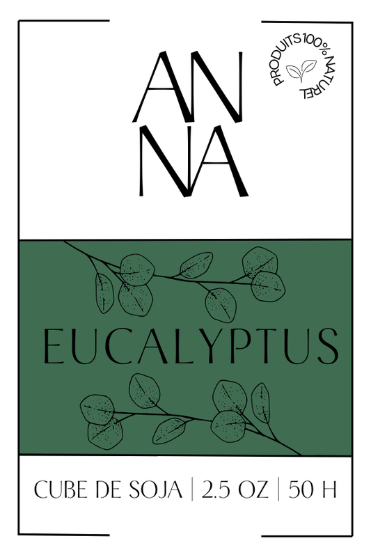 CUBE DE CIRE - EUCALYPTUS