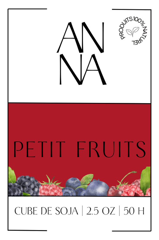 CUBE DE CIRE - PETIT FRUITS